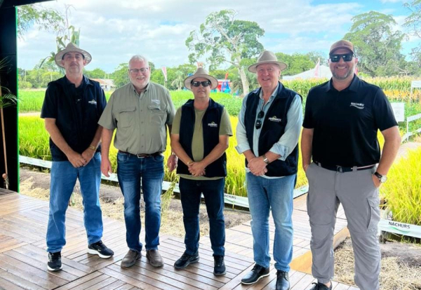 Fenarroz participa da abertura da colheita do arroz